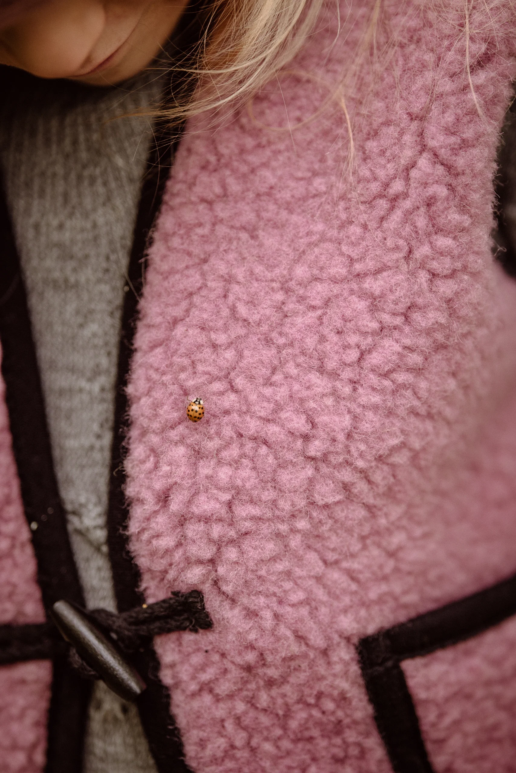 Alwero - Bodywarmer "Alpen 2.0" Junior, Biowolle, Venetian Pink, ultra light - Image 3